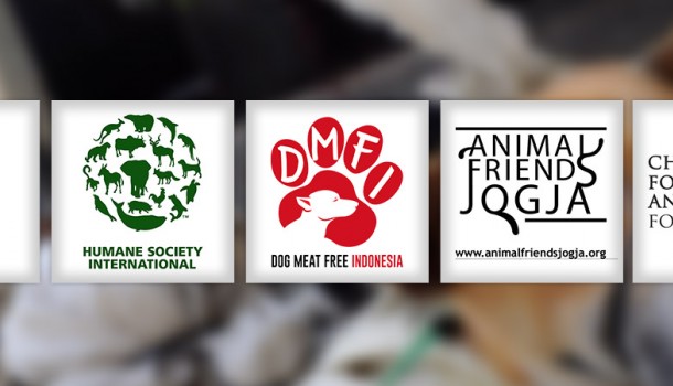 Four Animal Protection Charities Join Forces to Create the Dog Meat-Free Indonesia (DMFI) Coalition