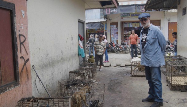 British actor and DMFI Ambassador Peter Egan visits “sickening horrors” of North Sulawesi’s brutal dog and cat meat markets, calls on Indonesian government to take action